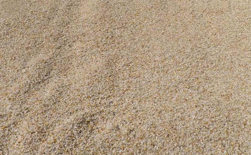 Carpet Field Sand