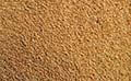 Jamb Sand